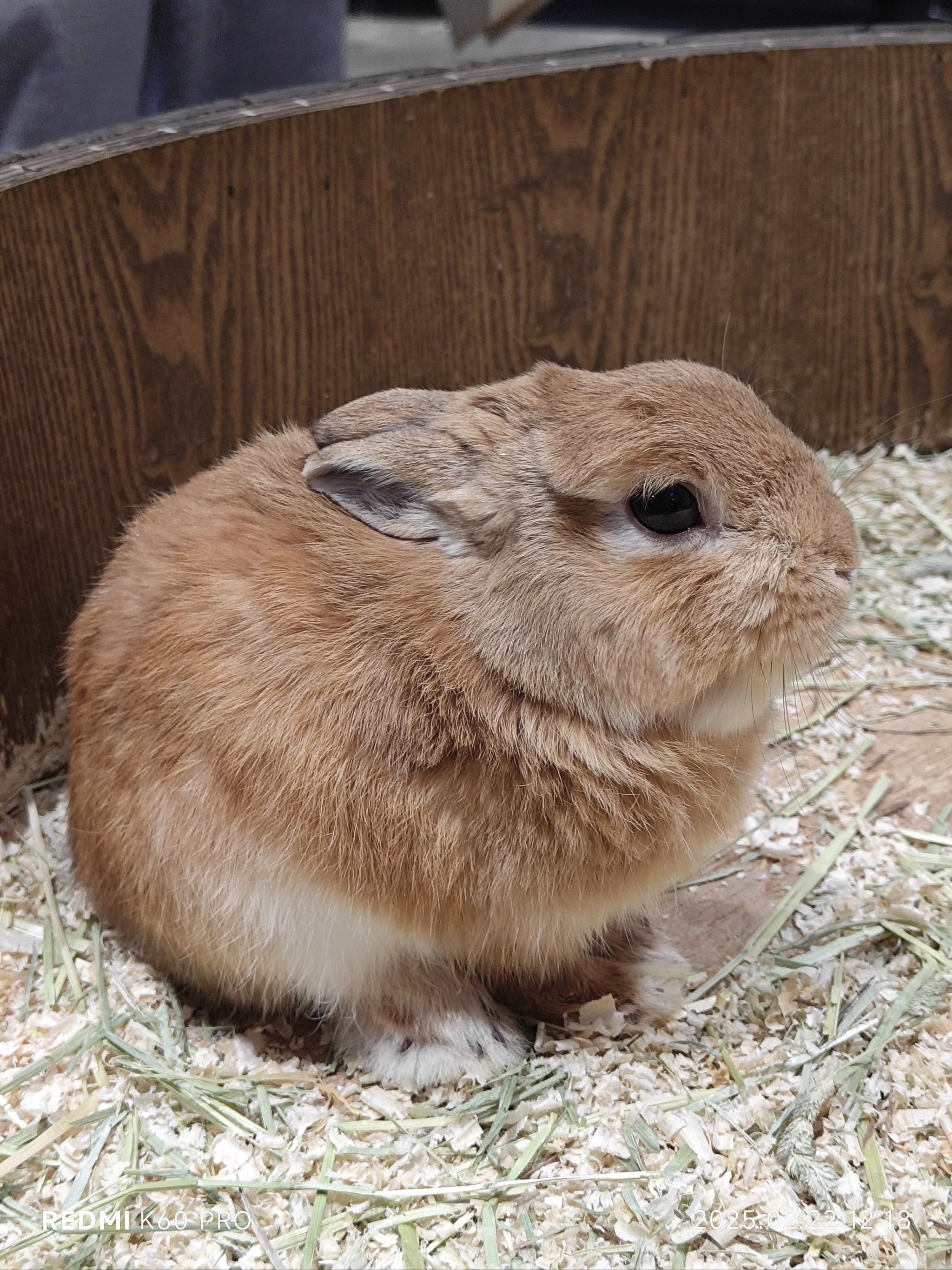 揭秘海外服务器IP：一键查询，全球网络尽在掌握！